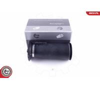 Molla pneumatica, Autotelaio per BMW 5