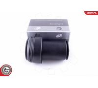 Molla pneumatica, Autotelaio per BMW X5 X6