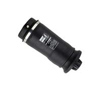 Molla pneumatica Bilstein B3 40-247687 posteriore per Mercedes-Benz GL GLE GLE C