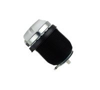 Molla Pneumatica Posteriore Per Audi A6