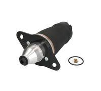 Molla pneumatica, telaio ARNOTT EUROPE A-2133