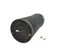 Molla pneumatica, telaio ARNOTT EUROPE A-2202