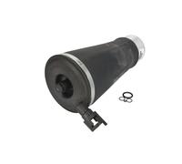 Molla pneumatica, telaio ARNOTT EUROPE A-2220