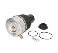 Molla pneumatica, telaio ARNOTT EUROPE A-2523