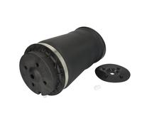 Molla pneumatica, telaio ARNOTT EUROPE A-2597