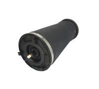 Molla pneumatica, telaio ARNOTT EUROPE A-2610