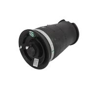 Molla pneumatica, telaio ARNOTT EUROPE A-2755