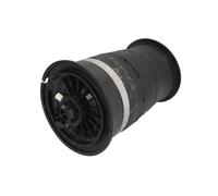 Molla pneumatica, telaio ARNOTT EUROPE A-2780