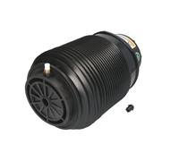 Molla pneumatica, telaio ARNOTT EUROPE A-2790