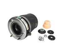 Molla pneumatica, telaio ARNOTT EUROPE A-2862 sinistro