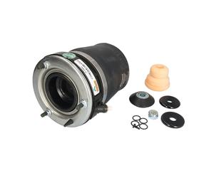 Molla pneumatica, telaio ARNOTT EUROPE A-2862 sinistro