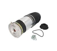Molla pneumatica, telaio ARNOTT EUROPE A-2885