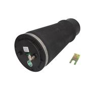 Molla pneumatica, telaio ARNOTT EUROPE A-2949