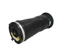 Molla pneumatica, telaio ARNOTT EUROPE A-3753