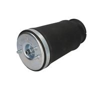 Molla pneumatica, telaio MAGNUM TECHNOLOGY MZB010MT