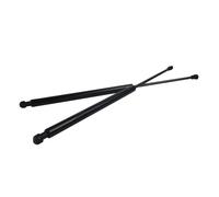 Molla portellone Compatibile con Nissan per Qashqai 2007 2008 2009 2010 2011 2015 2013 Supporto per ammortizzatori a gas per portellone posteriore