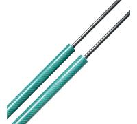 Molla portellone Compatibile Con Suzuki Per Swift HT51S Hatchback 2000-2006 Supporti Per Portellone Posteriore In Fibra Di Carbonio Molle A Gas Supporti Di Sollevamento(Green Carbon Fiber)