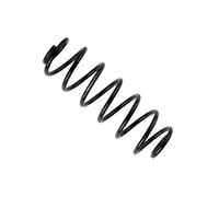 Molla Posteriore Bilstein Per Ford Fiesta