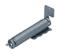 Molla Primavera Porta Destra SX Lavastoviglie Bosch Siemens 00165736