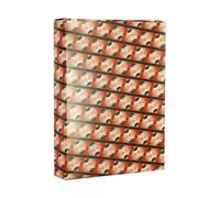 ASHIKA KCK805 Kit catena distribuzione