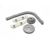 BorgWarner 59007150004 Kit catena distribuzione
