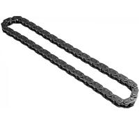 INA 553 0173 10 Catena di distribuzione