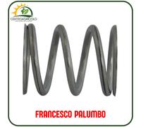 MOLLA RICAMBIO SPREMIPOMODORO TS PAVI FRANCESCO PALUMBO RICAMBIO ORIGINALE