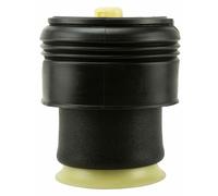 Molla Soffione Sospensione Aria Per Bmw X5 (E70), 02.06-06.13
