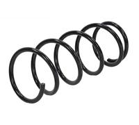 Molla sospensione Assale anteriore Molla ad elica ASZ-NS-015 NTY