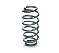 Eibach Molla sospensione anteriore F11-20-013-02-VA Ø 12 mm 263 mm per BMW 3 E81/E87/E90/E91