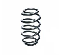Molla del telaio EIBACH Pro-Kit F11-65-007-01-VA