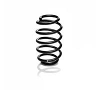 Eibach Molla anteriore R23012 Ø12,8 mm 4,8 giri per SEAT Arona, Skoda Kamiq, VW T-Cross