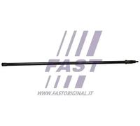 Molla sospensione Assale anteriore Sx FT13507 FAST per IVECO DAILY III Furgone