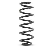 Molla del telaio KYB K-Flex RH6596