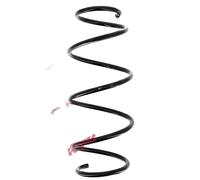 KYB RA1258 Molle ammortizzatori