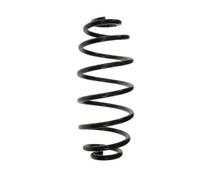 Molla sospensione Coda veicolo 4035170 Magnum Technology