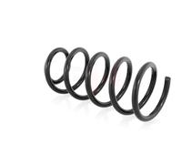 Coppia Molle Ammortizzatori Posteriori D + S per Fiat Punto II (188) 1999-
