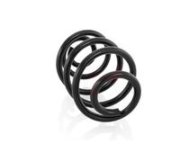 Gema Herrerías Coppia molle posteriori GH-223912 per Renault Clio III 2005-, Modus 2000-