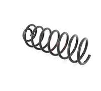 Coppia Molle Posteriori per VW Golf II,III,Vento,Seat Toledo 1983-1999