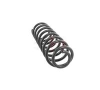 1x Molla suspensione Posteriore GH-223910