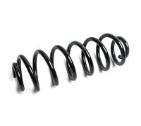 2X Oyodo Molla Della Sospensione Posteriore Per VW Tiguan 5N Passat 3C2 362