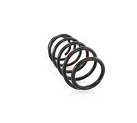 Coppia Molle Anteriori per Opel Astra II G,Vectra B + Caravan 1995-2009