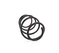 Molla sospensione Frontale d. veicolo AGHGH-209302H GH