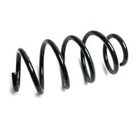 Molla sospensione OYO30A9106-OYO OYODO