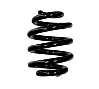 Molla del telaio EIBACH R10051