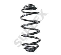 Molla Suplex posteriore per Renault Kangoo