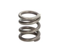 Molla, tubo di scarico 4MAX 0219-15-0019