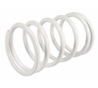 Molla Variatore MALOSSI per Aprilia/Gilera Atlantic/SCARABEO/Nexus 400 - 500 CCM Bianco,