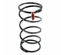 Molla variatore scoot stage 6 per piaggio 50 zip, nrg, typhoon-aprilia 50 sr mot