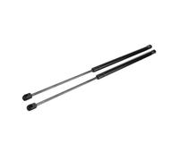 Molle A Gas 2 pezzi 570mm 325N per Fiesta Hatchback per WS per WT modelli serie per WZ 2010-2016 2017 Auto portellone posteriore Boot Struts Ascensore Gas SpringT